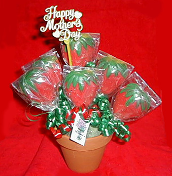 Strawberrys